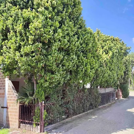Apartman Small In *